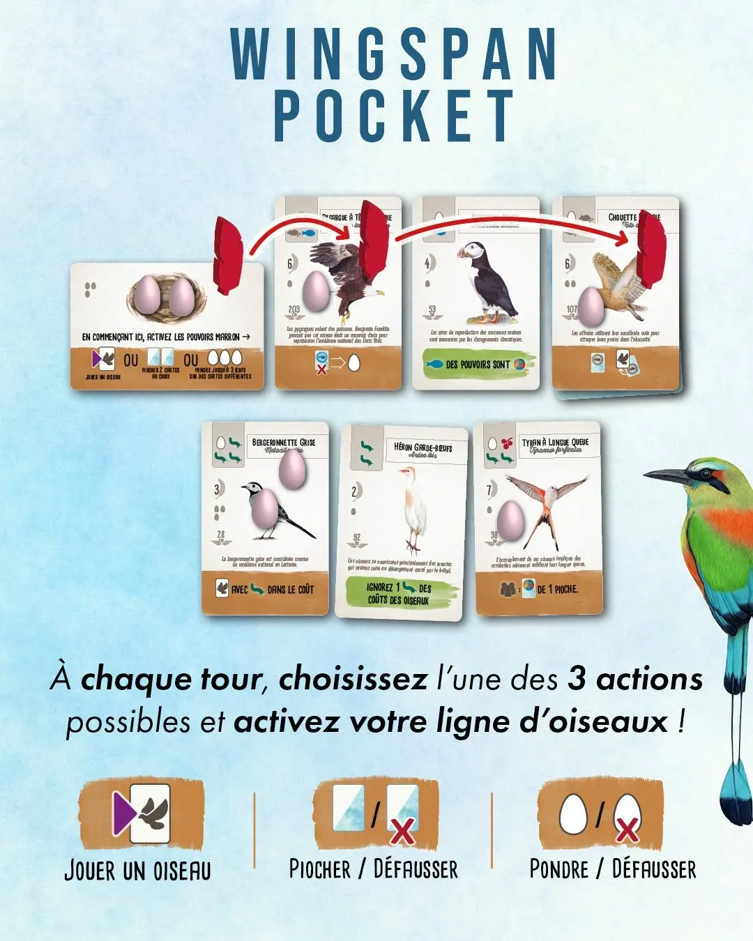 wingspan pocket - rules 1